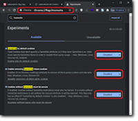 chrome://flags/#samesite
